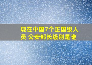 现在中国7个正国级人员 公安部长级别是谁